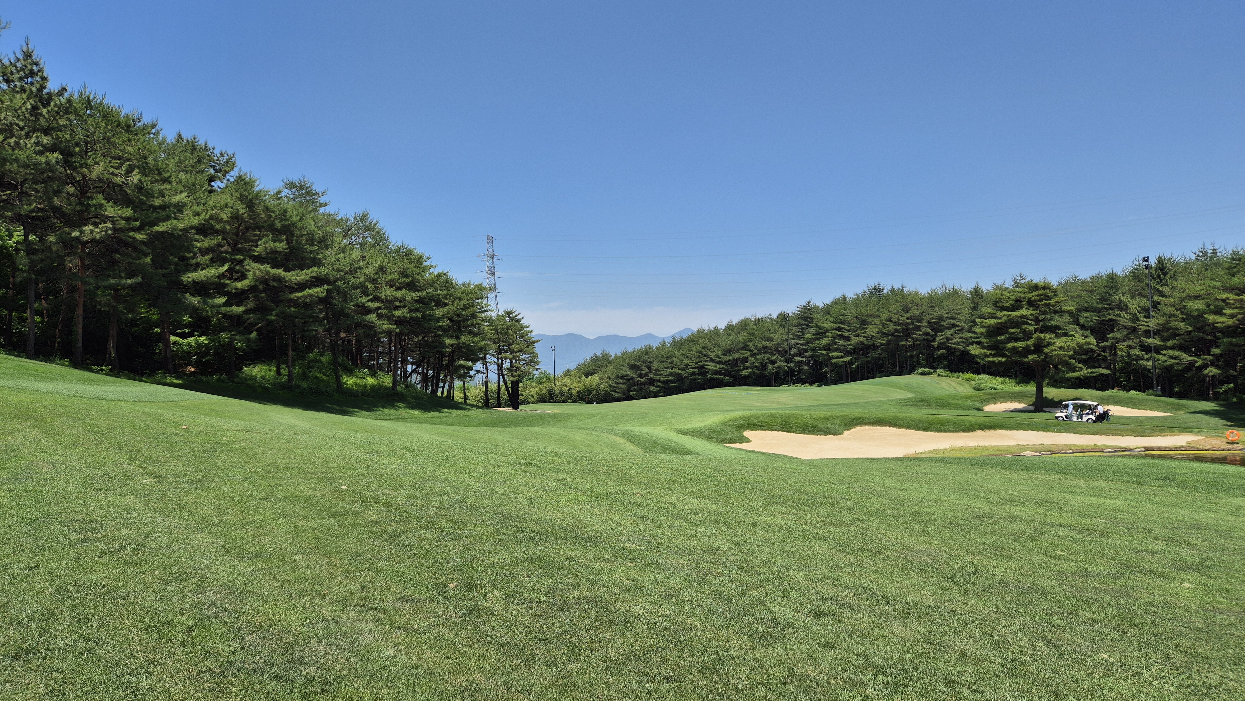 파인리즈cc 후기 및 코스사진