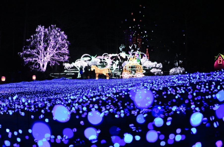 아침고요수목원-겨울관람-할인-예약으로-즐기는-모습들-사진