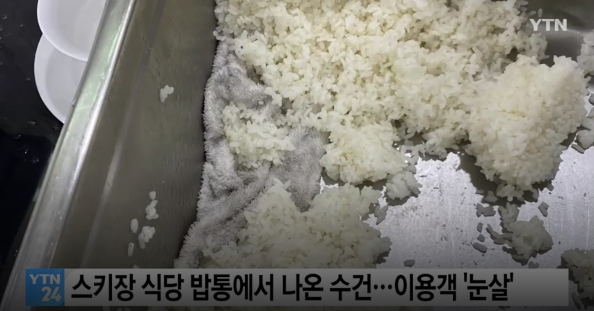 스키장 식당 밥통에서 나온 수건