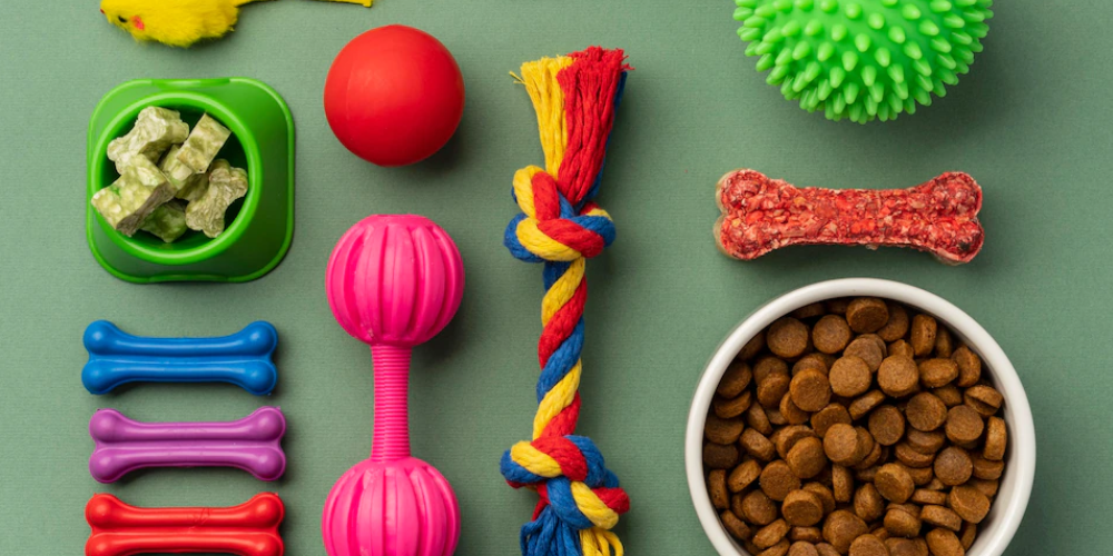 강아지 수제애견간식 창업 4