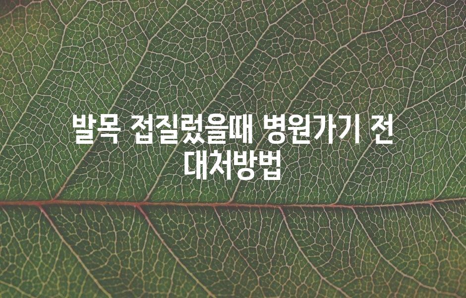 샘플 (43)