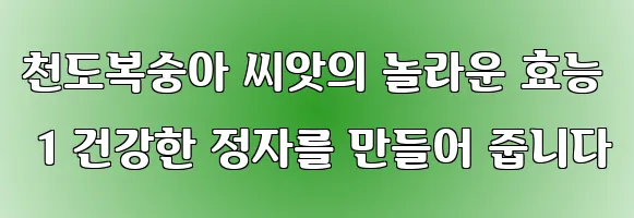 천도복숭아 씨앗의 놀라운 효능 1 건강한 정자를 만들어 줍니다