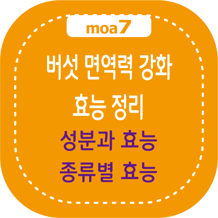 버섯 면역력 강화 효능 정리