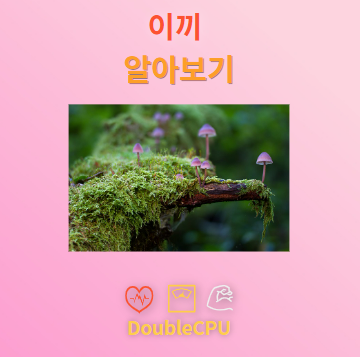 이끼 탐구