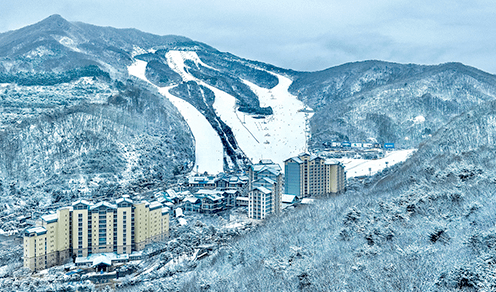 스키장 개장일정