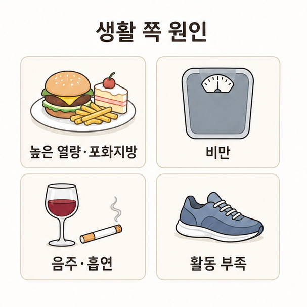 콜레스테롤을 올리는 생활 요인, 높은 열량과 포화지방, 비만, 음주와 흡연, 활동 부족을 네 칸으로 정리한 도표