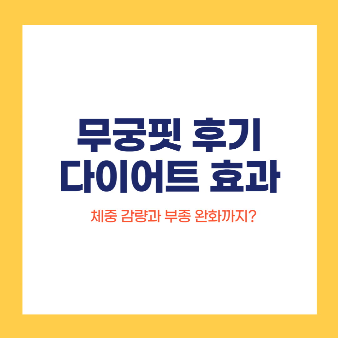 무궁핏
