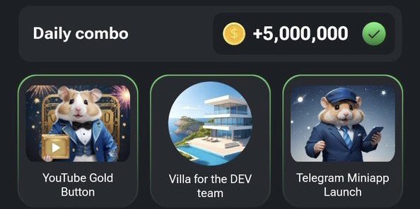 햄스터컴뱃 콤보 정답