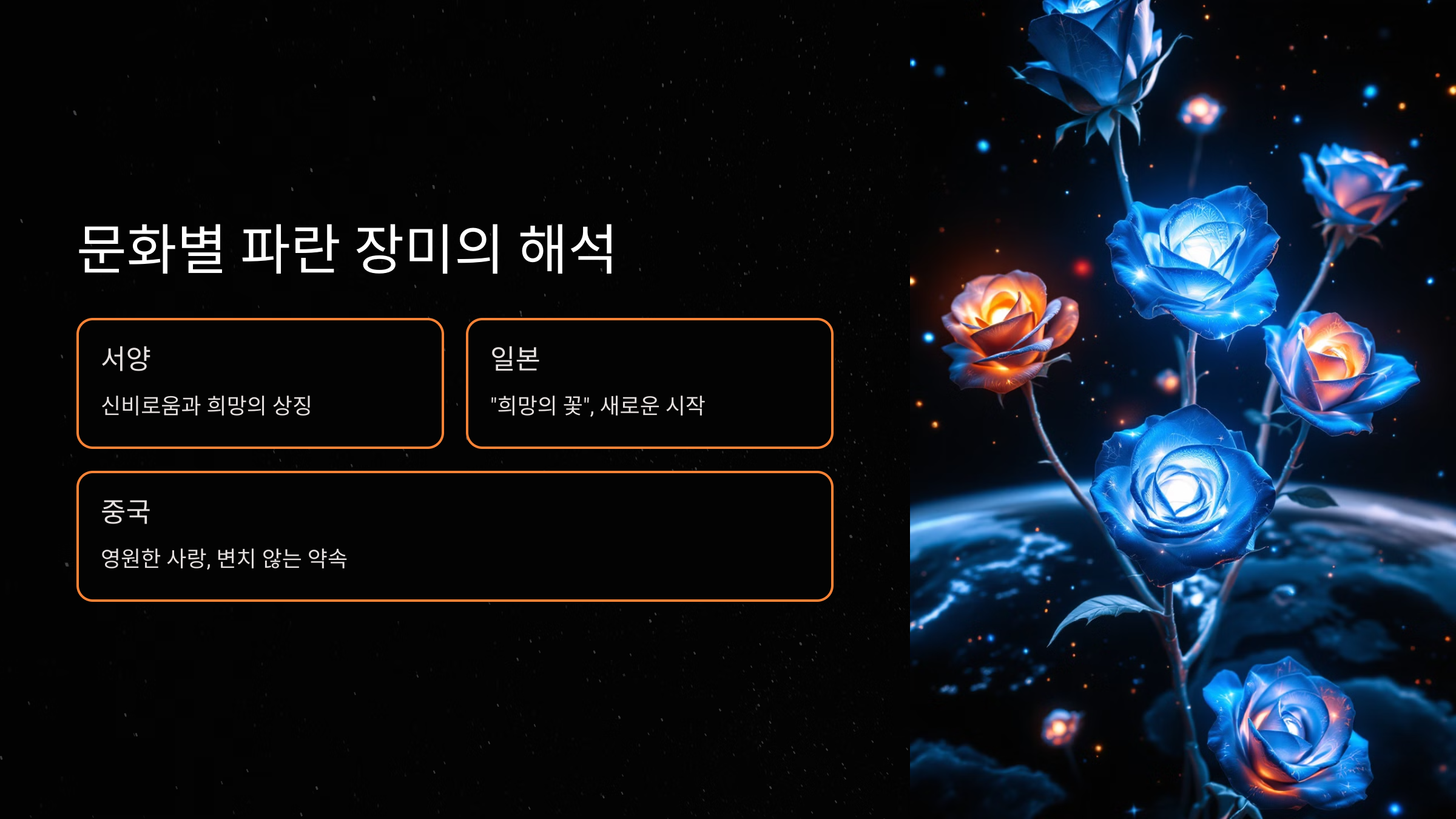 문화별 파란 장미의 해석