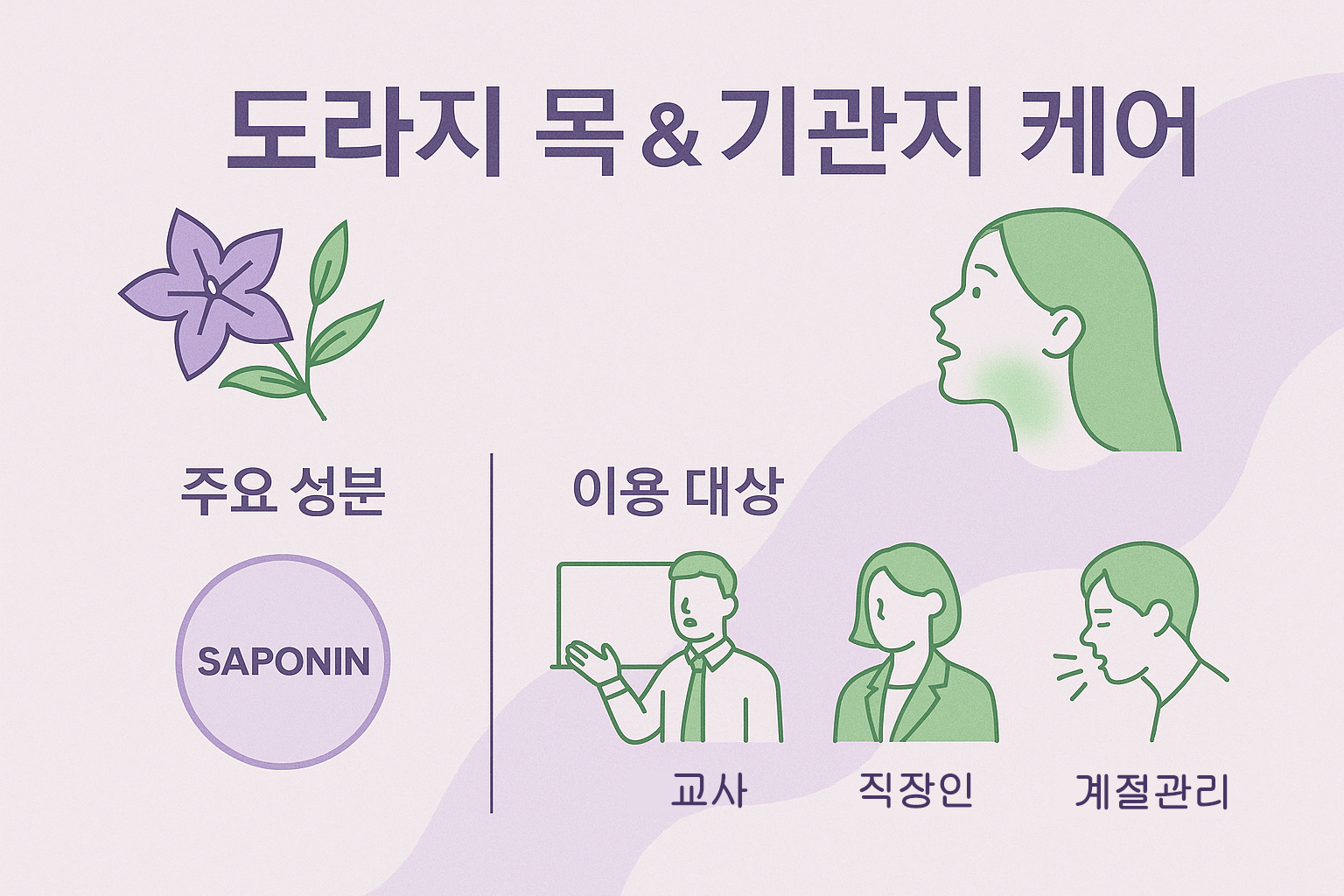 도라지 목&amp;기관지 케어를 주제로 사포닌 성분과 교사&middot;직장인처럼 많이 말하는 직업군, 계절 관리에 관심 있는 사람들을 소개하는 일러스트 인포그래픽 이미지