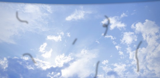 날파리증이라 불리는 비문증