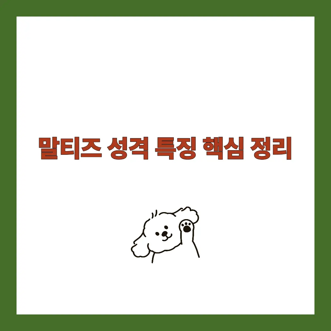 말티즈 성격