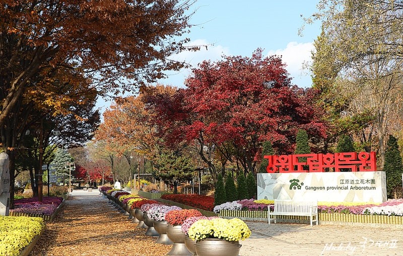 춘천 강원도립화목원(산림박물관) 완벽 가이드: 1,000원으로 즐기는 최고의 가족 힐링 여행