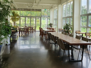 샤스타데이지 카페명소 BEST 5곳