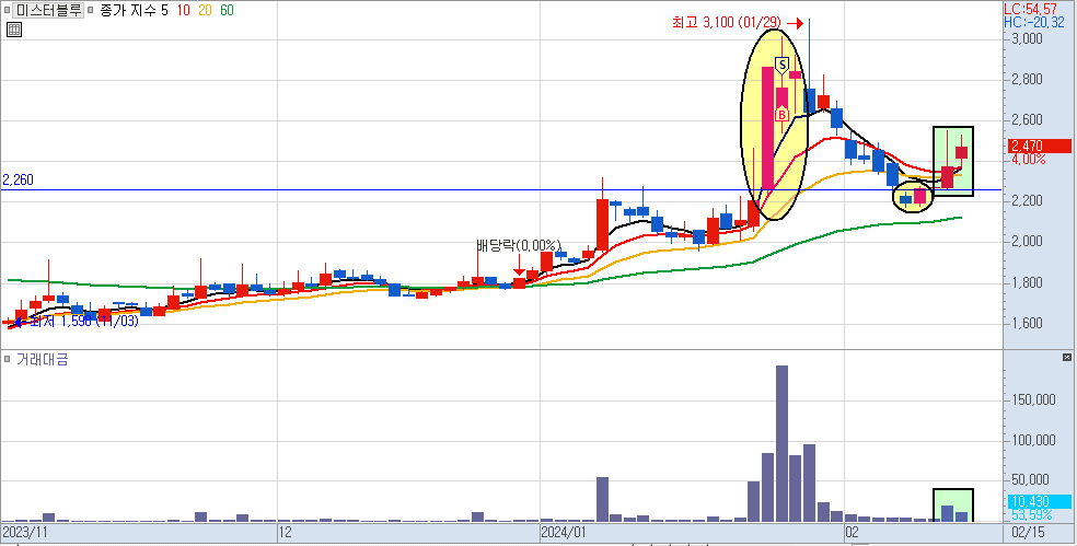 미스터블루 향후 대응