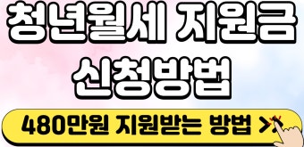 2026 청년 월세 지원 신청