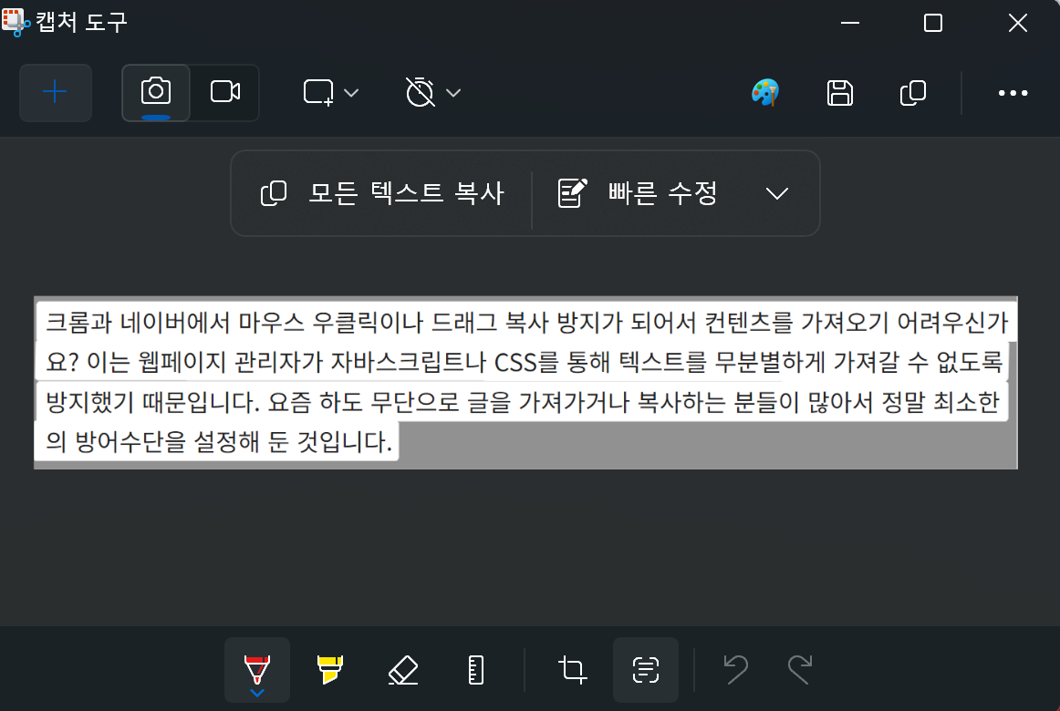 텍스트 추출 버튼 위치와 결과 설명
