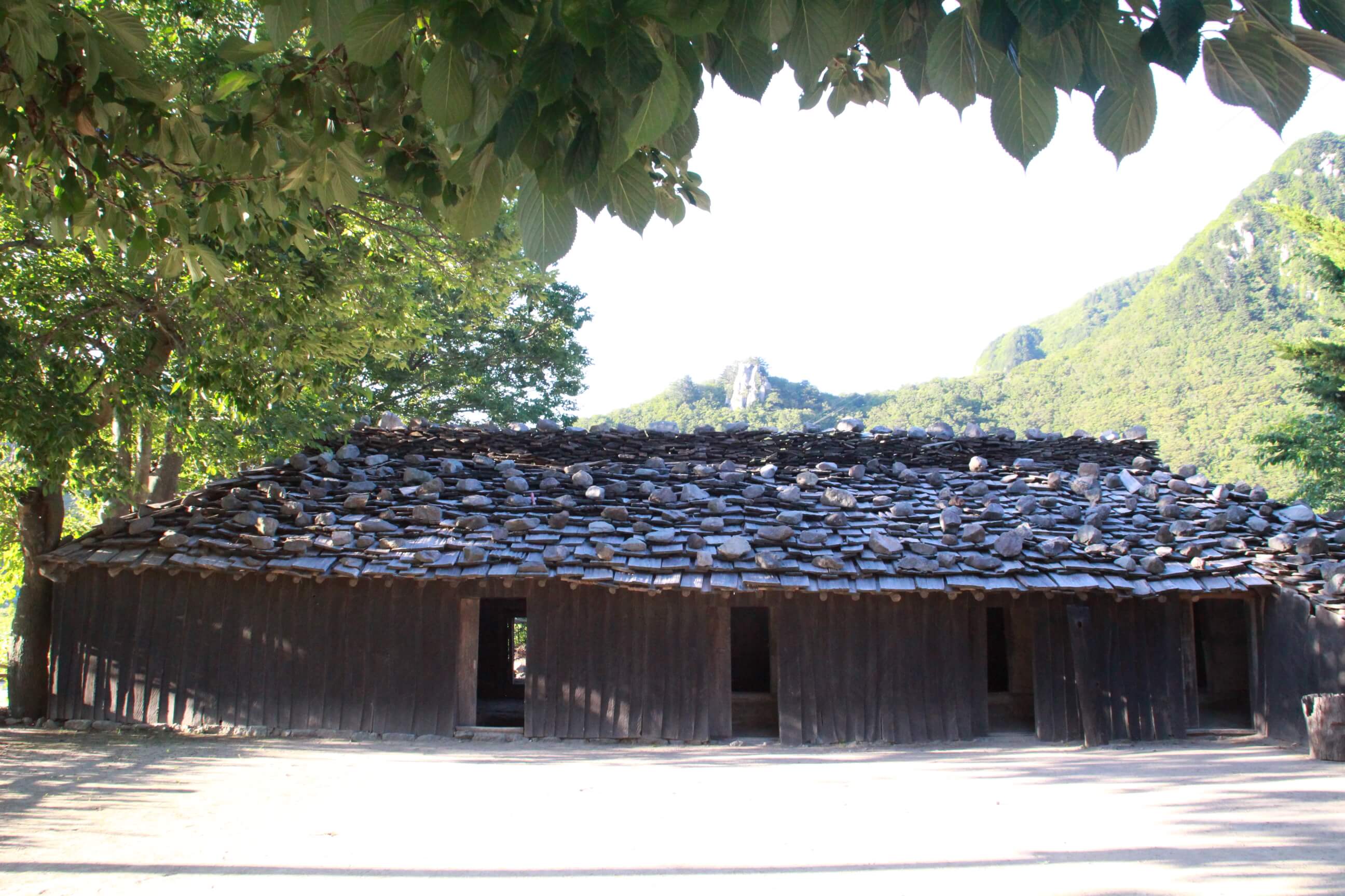 울릉도관광-나리분지