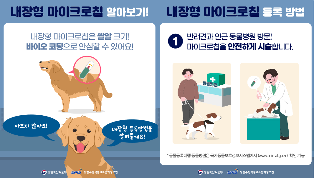 동물등록번호 조회 방법