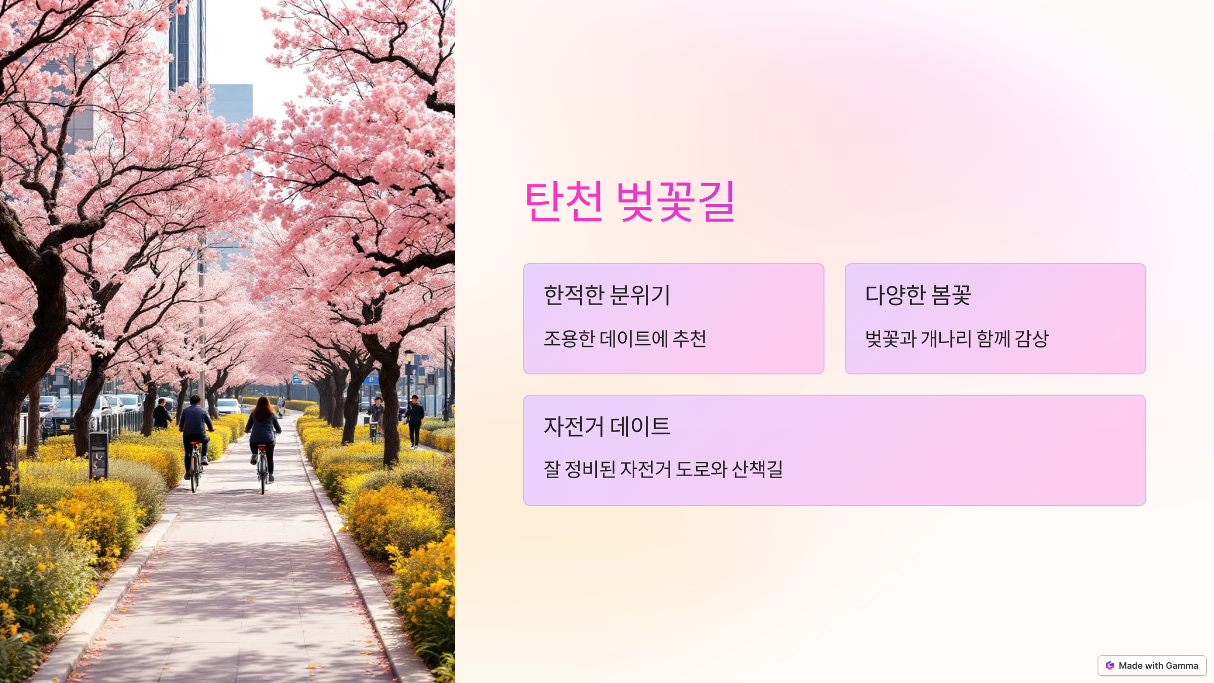 탄천 벚꽃길