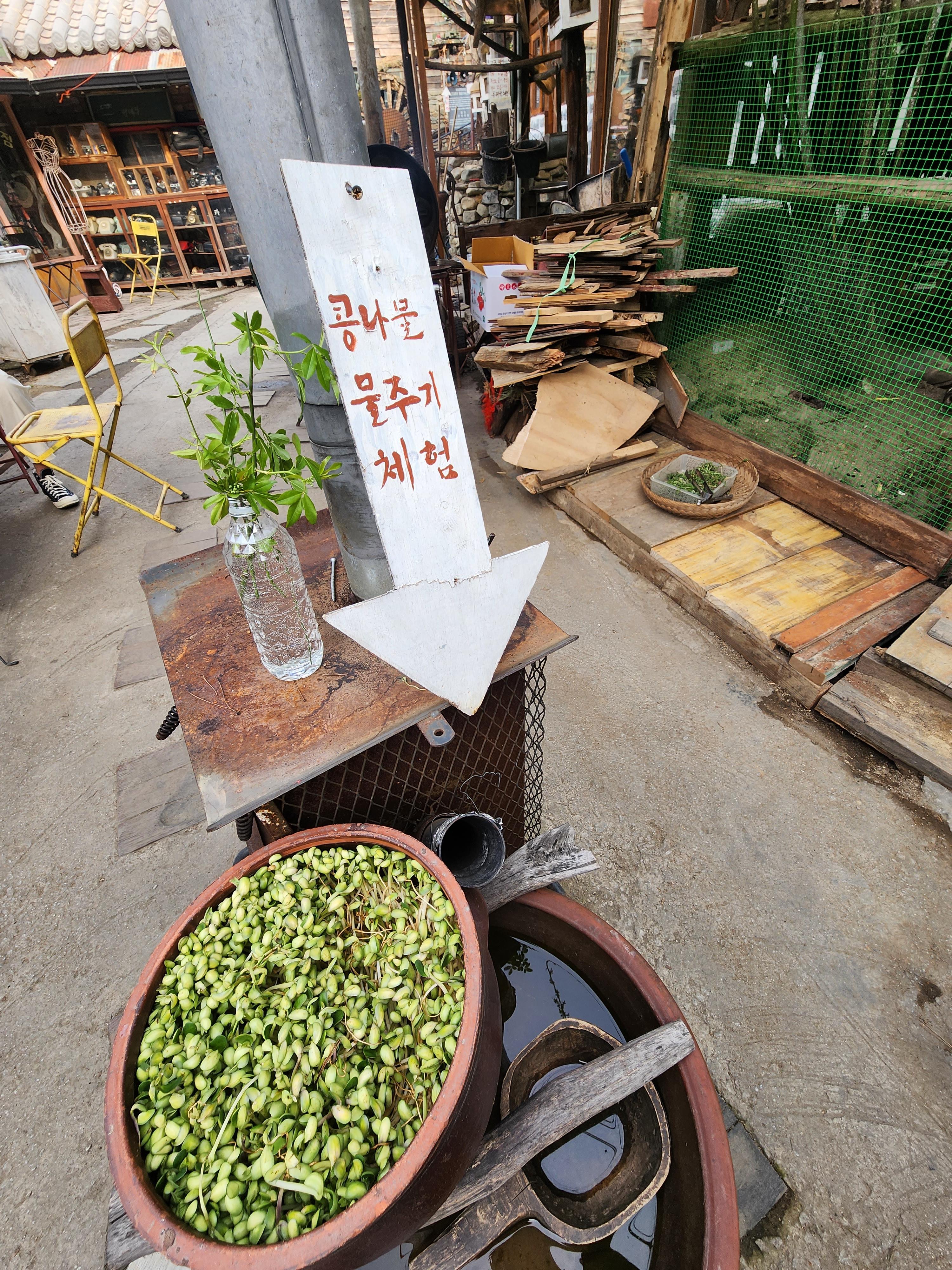 전주 애견동반 갈만한 곳 전주난장