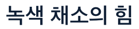 비타민K 많은 녹색의 힘