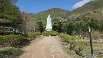 천진암 흰민들레 백양자연관찰로 괭이눈 개화_4