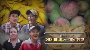 EBS ‘극한직업’ 대왕 망고 구매하기