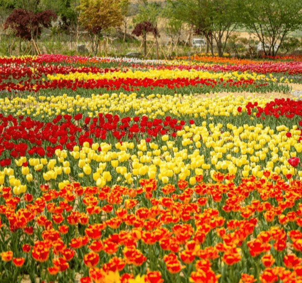 5월 충청남도 여행 추천 가볼만한 곳&amp;#44; 축제 일정 