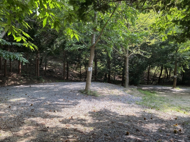 가평 : 밤나무숲 캠핑장 (애견동반가능)