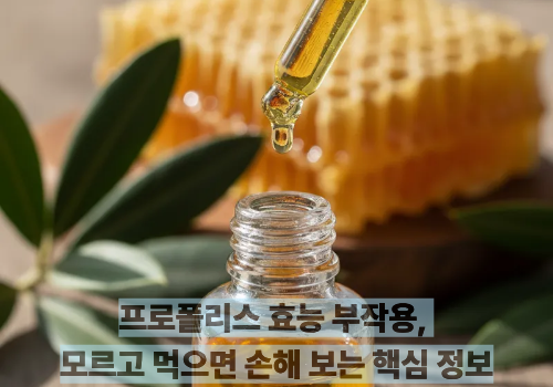 프로폴리스 효능 부작용, 모르고 먹으면 손해 보는 핵심 정보