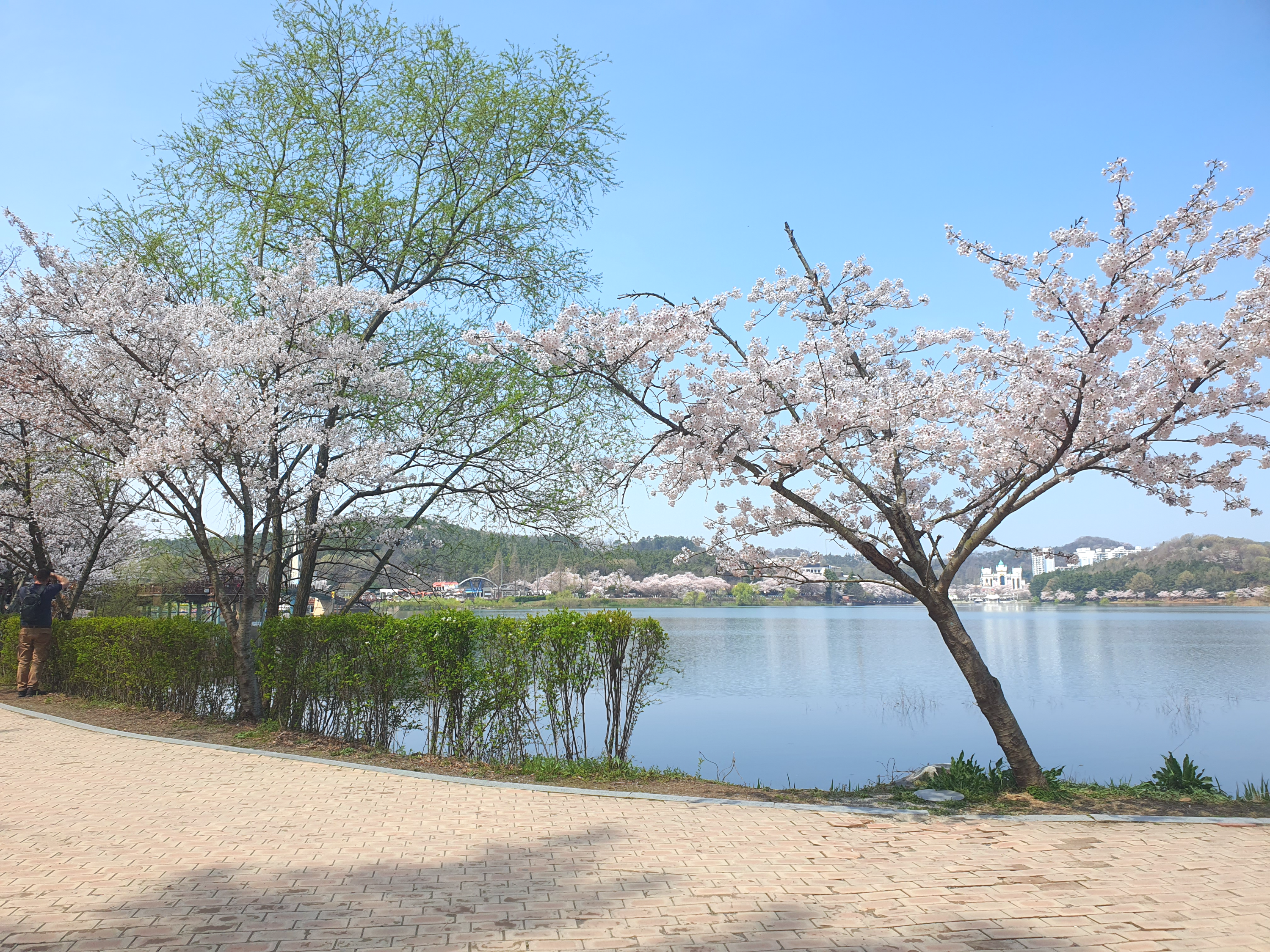 군산 은파호수공원 이용안내 방문기