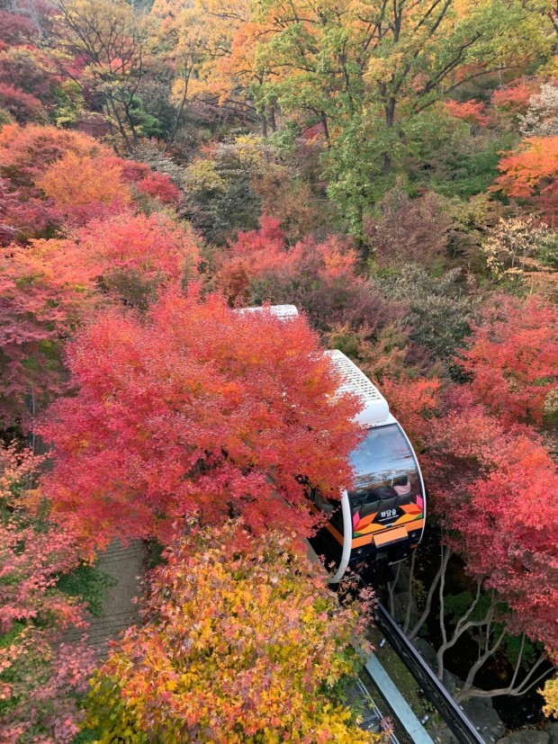 화담숲 예매