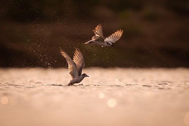 말보다 ‘멈춤’이 더 강력한 감정 조절 도구인 이유
