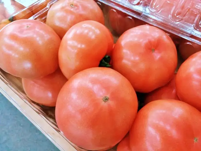 6시내고향 충남 부여 토마토 파는 곳 전국 택배 온라인 전화 주문 추천