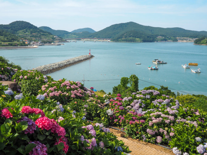 쑥섬 그림 자료