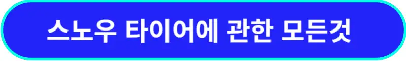 스노우-타이어에-대한-모든-것