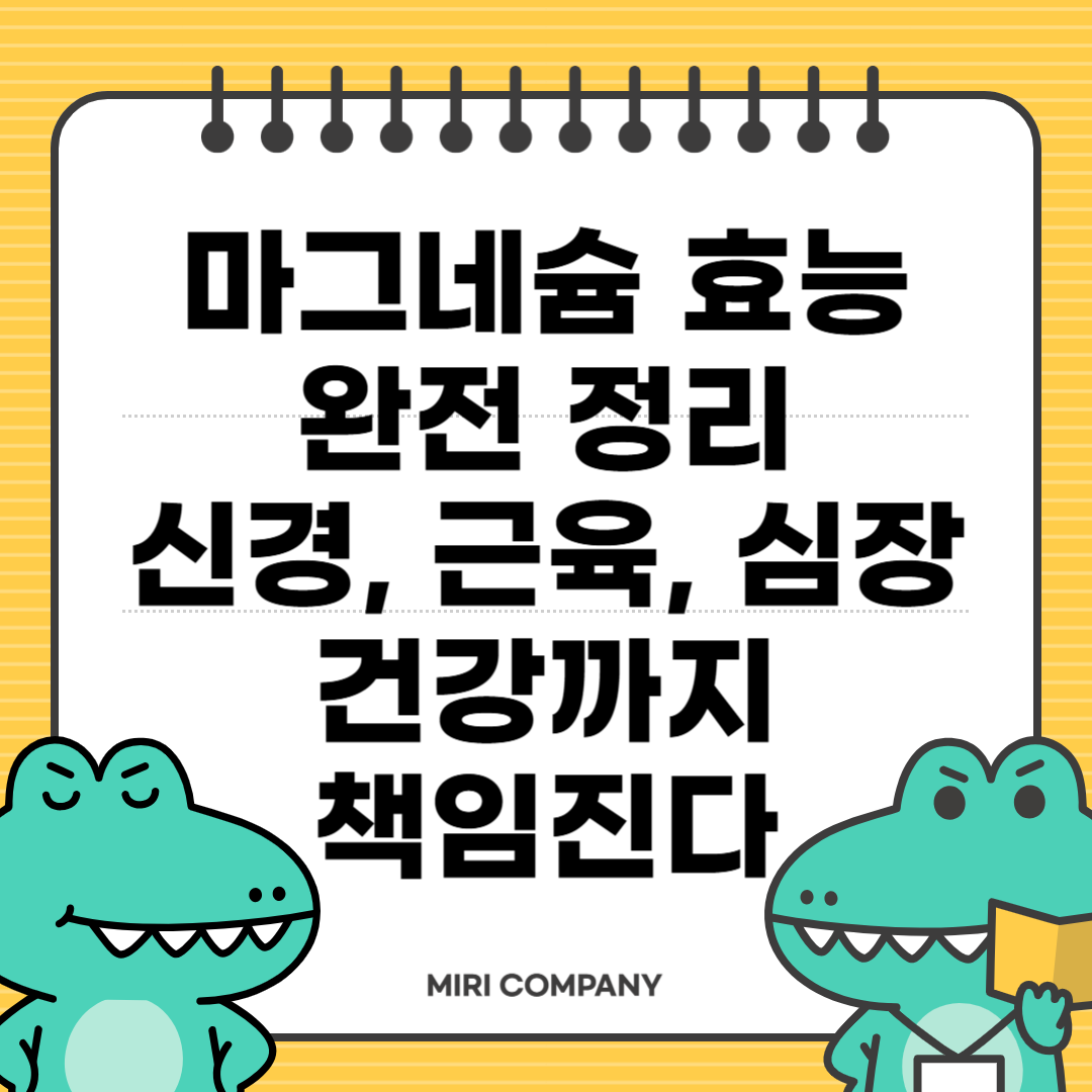 마그네슘 효능