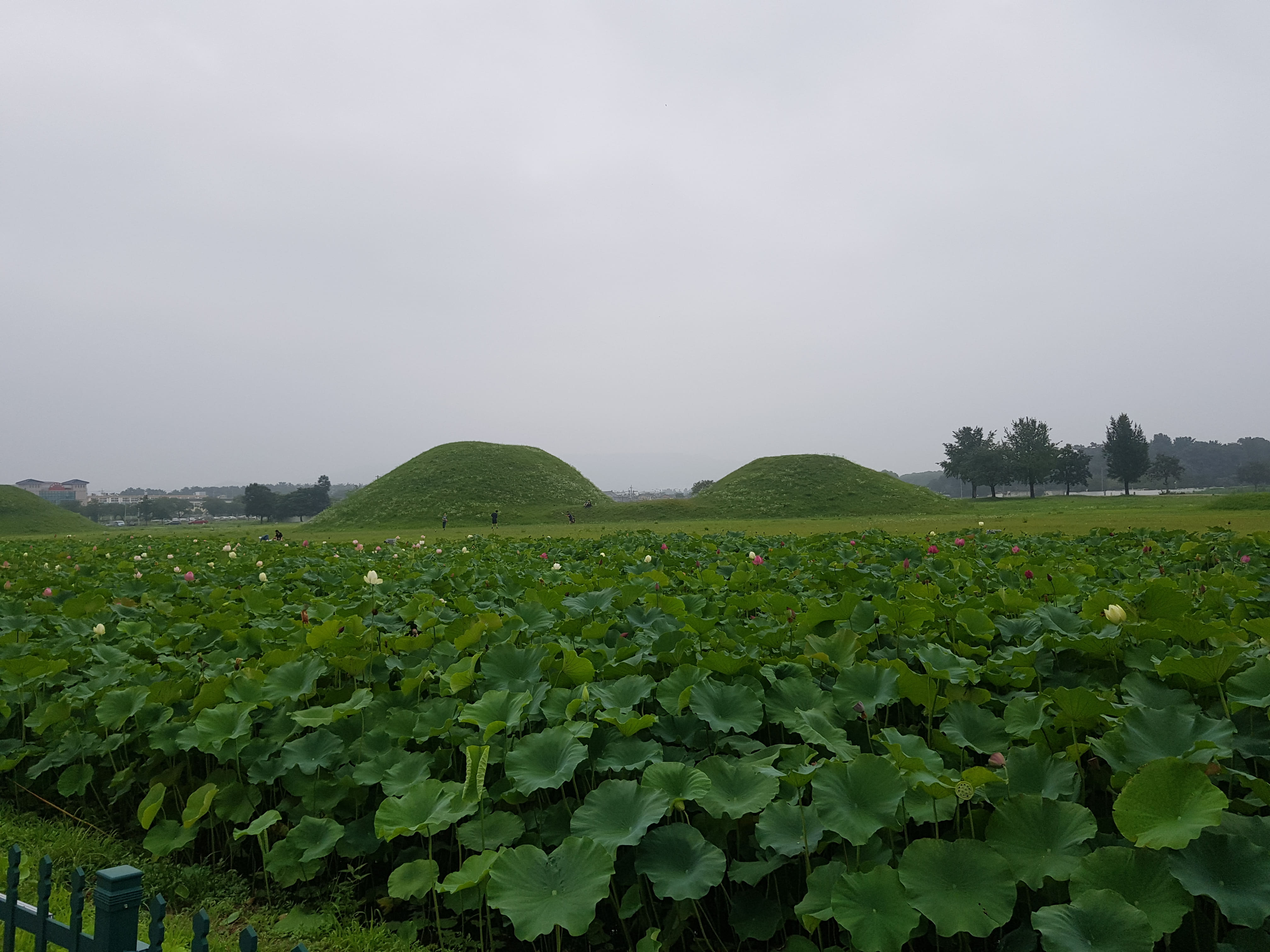 소액으로 시작하는 토지 투자, 현실적인 접근 방법
