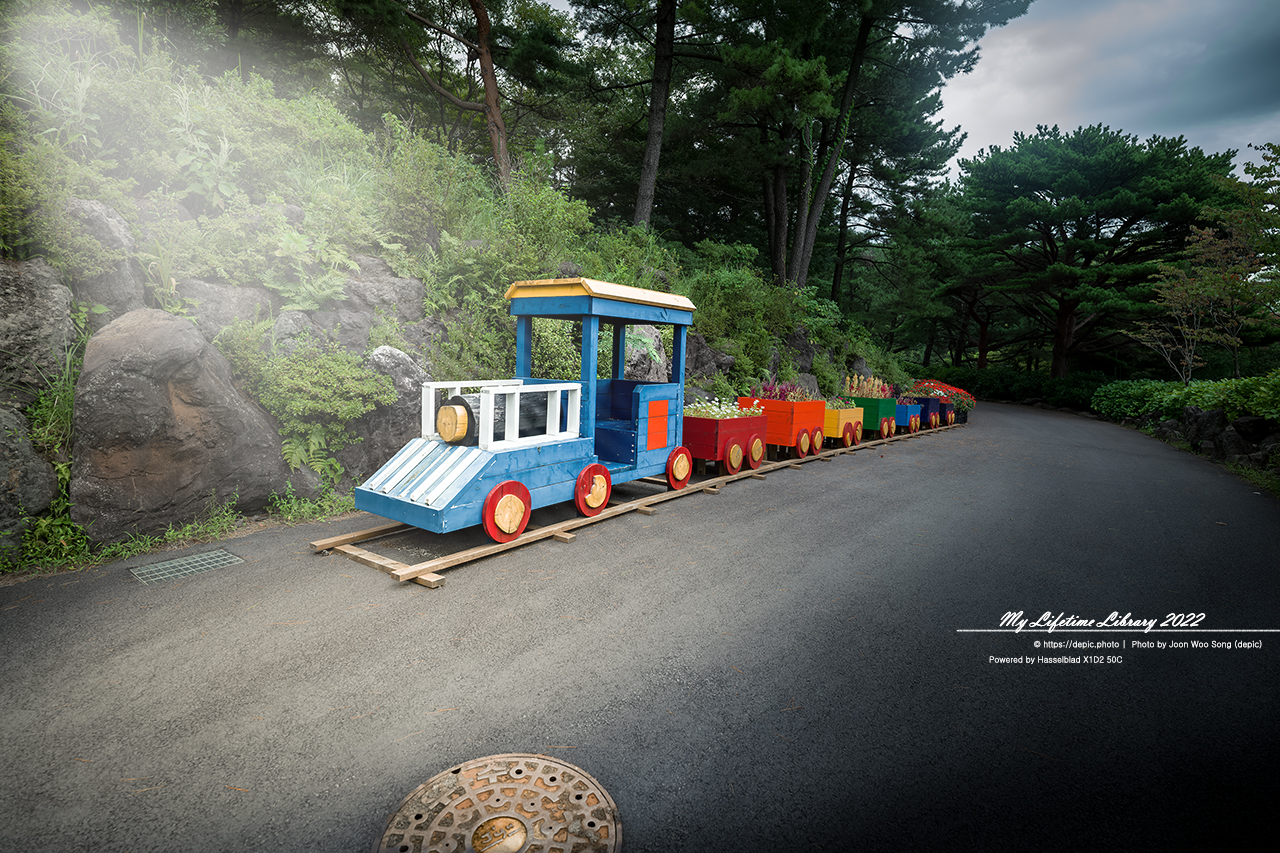 #제주 #상효원 #대나무 #숲 #2022제주여행