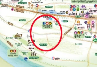 남이섬 여행 코스 배시간 산책루트 가평 카페까지 알찬 당일치기_7