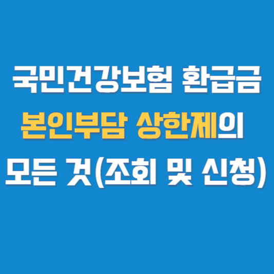 국민건강보험 환급금 본인부담 상한제의 모든 것(조회 및 신청)