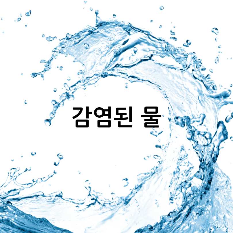 노로바이러스증상