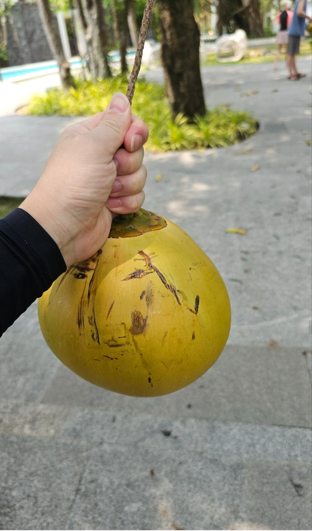 프리미어 빌리지 (이용시설/프로그램/조식 편)