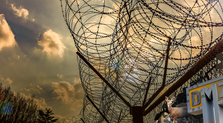 고성 가볼만한곳 베스트10