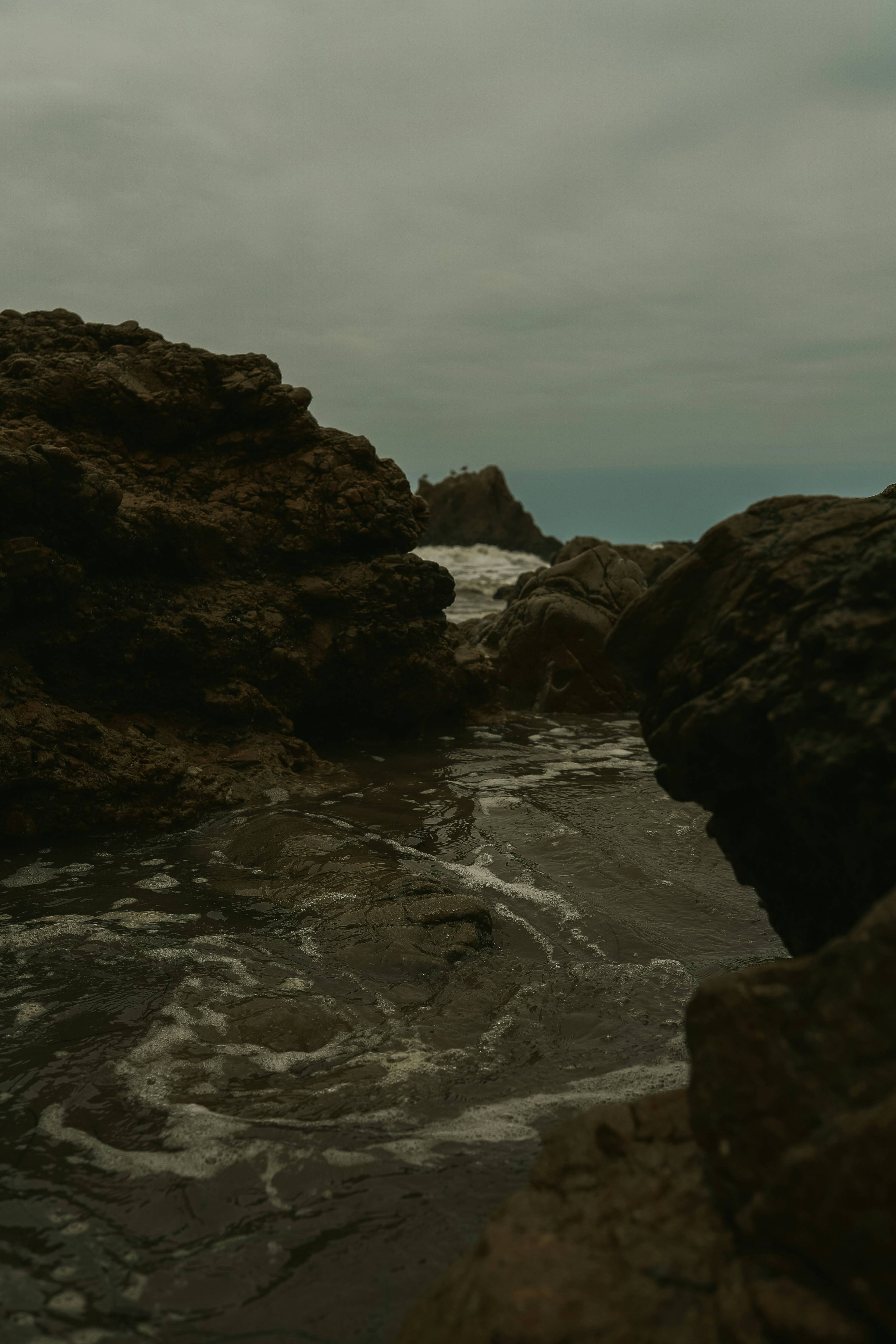 홍합 바다 이미지