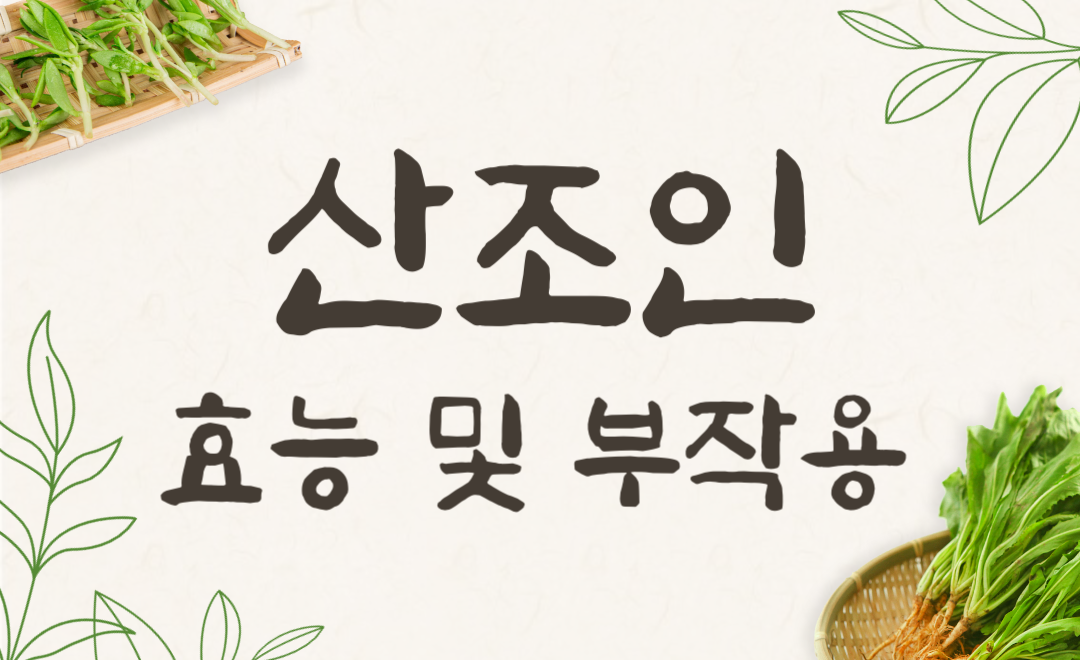 산조인 효능과 부작용, 불면증에 효과적인 산조인차로 건강 챙기기