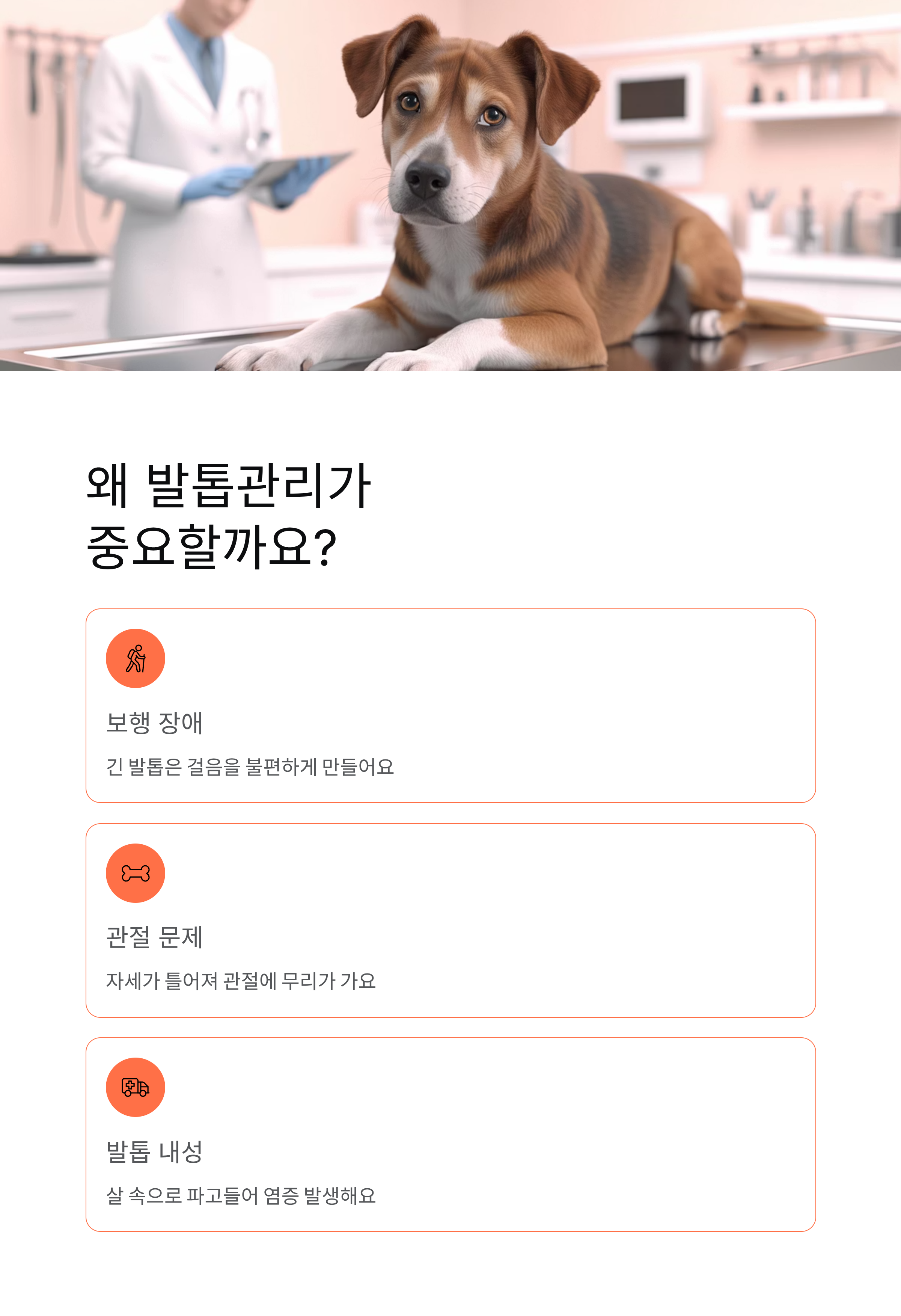 강아지 발톱깎기 ❘ 방법 주기 혈관 지혈 집에서 안전하게 자르는법 총정리