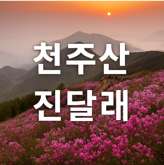 [4월 축제]천주산 진달래 개화 현황, 방문 후기, 맛집 정보