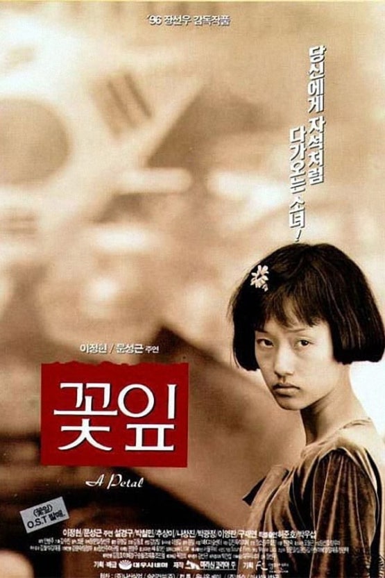 꽃잎 포스터